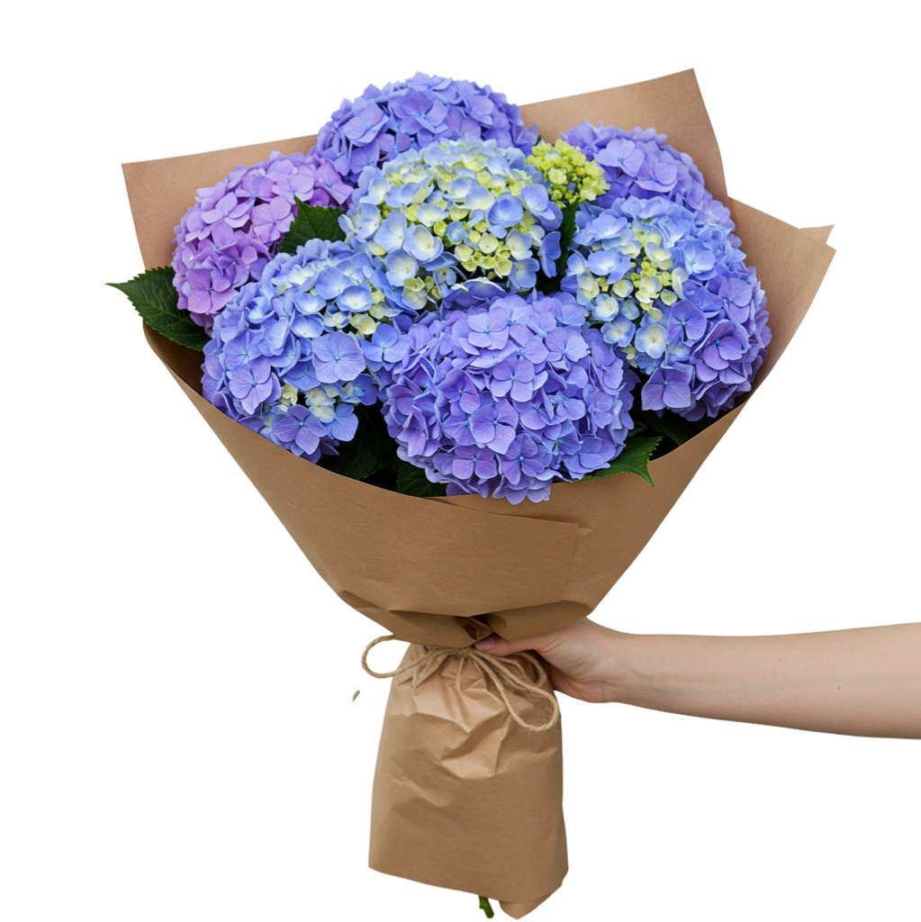 Hydrangeas Complete Bouquet