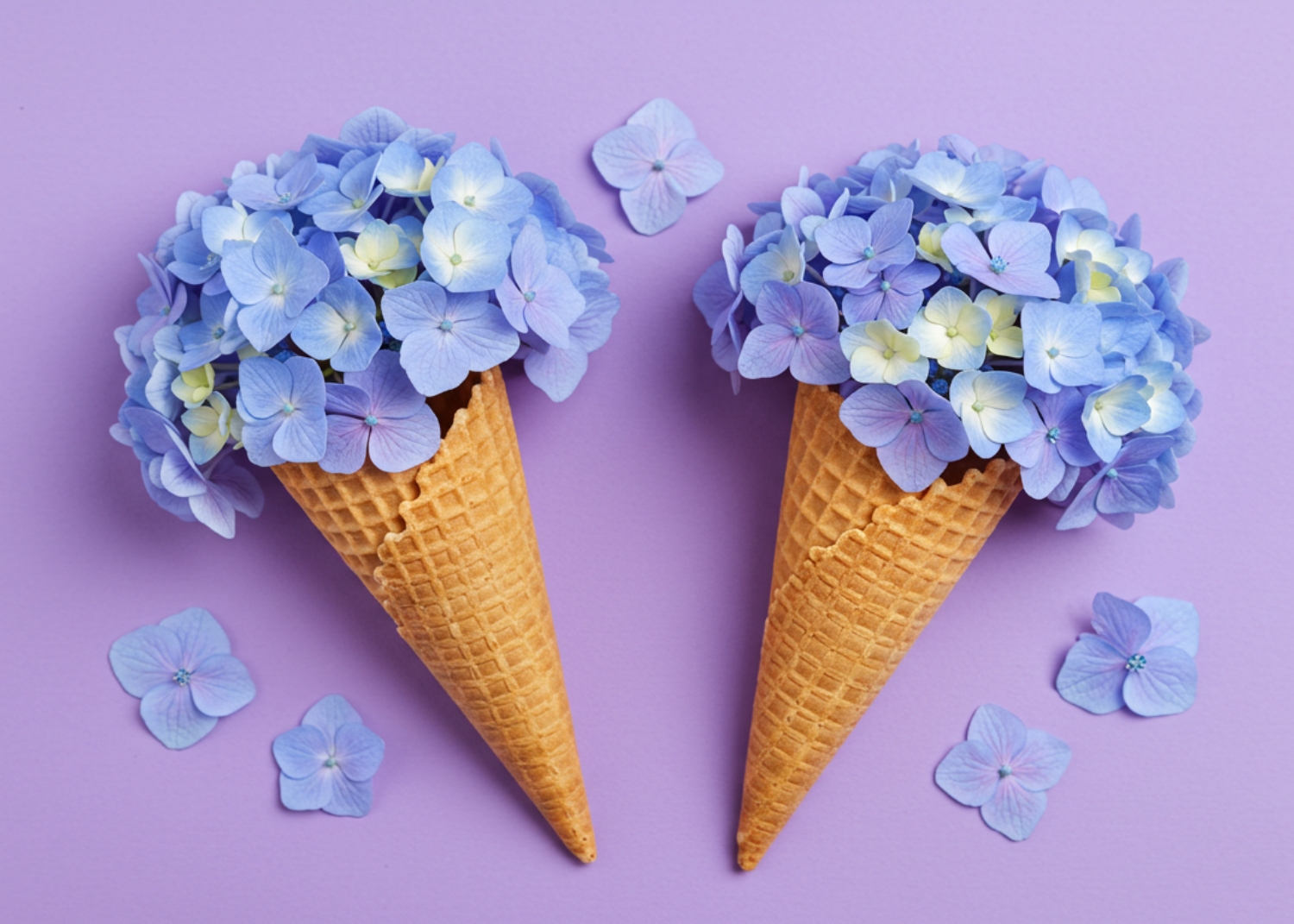 Hydrangeas in Ice Cream Cones Hydrangeas in Ice Cream Cones