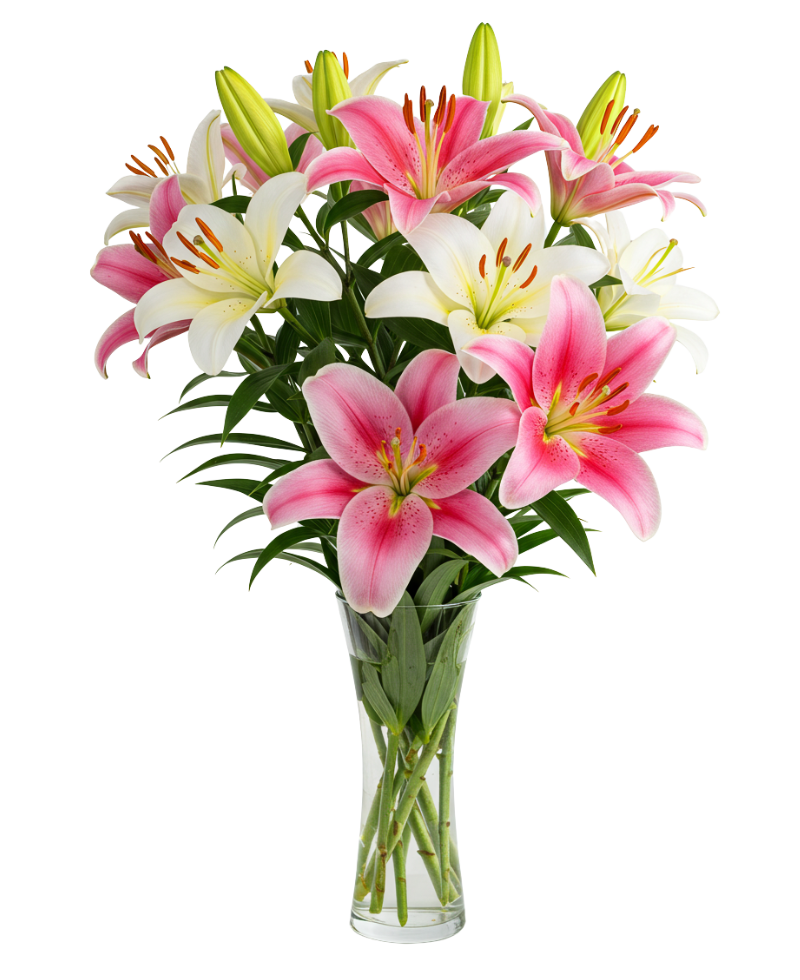 Lilies