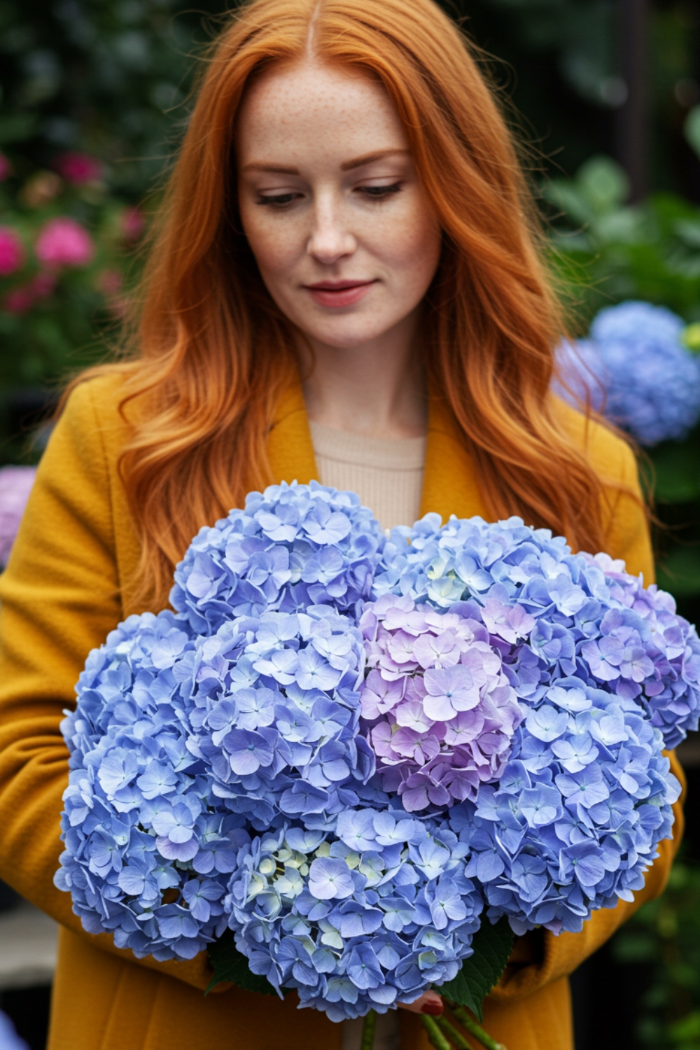 Woman Arranging Hydrangea Bouquet Woman Arranging Hydrangea Bouquet