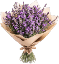Lavender Bliss